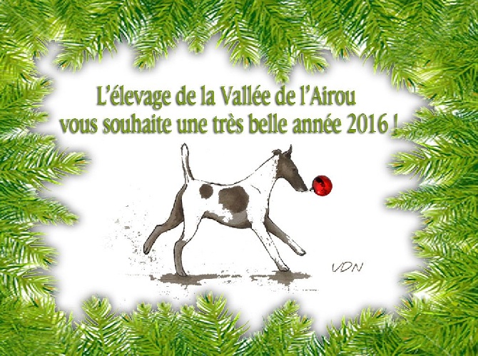 De La Vallée De L'airou - BONNE ANNEE 2016  !